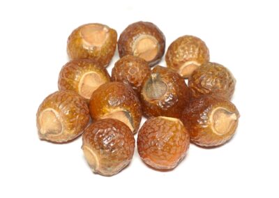 Organic Sapindus mukorossi (Reetha) Fruits