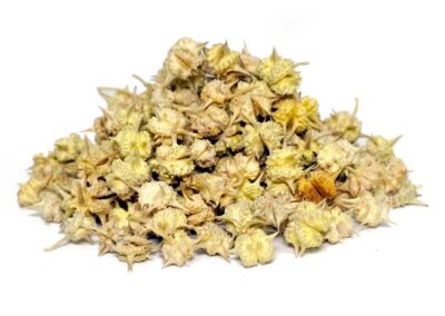 Organic Tribulus terrestris (Gokharu) Fruits