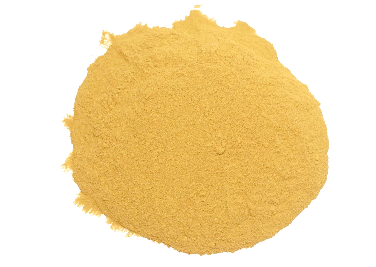 Organic Trachyspermum Ammi (Ajwain) Seeds Powder