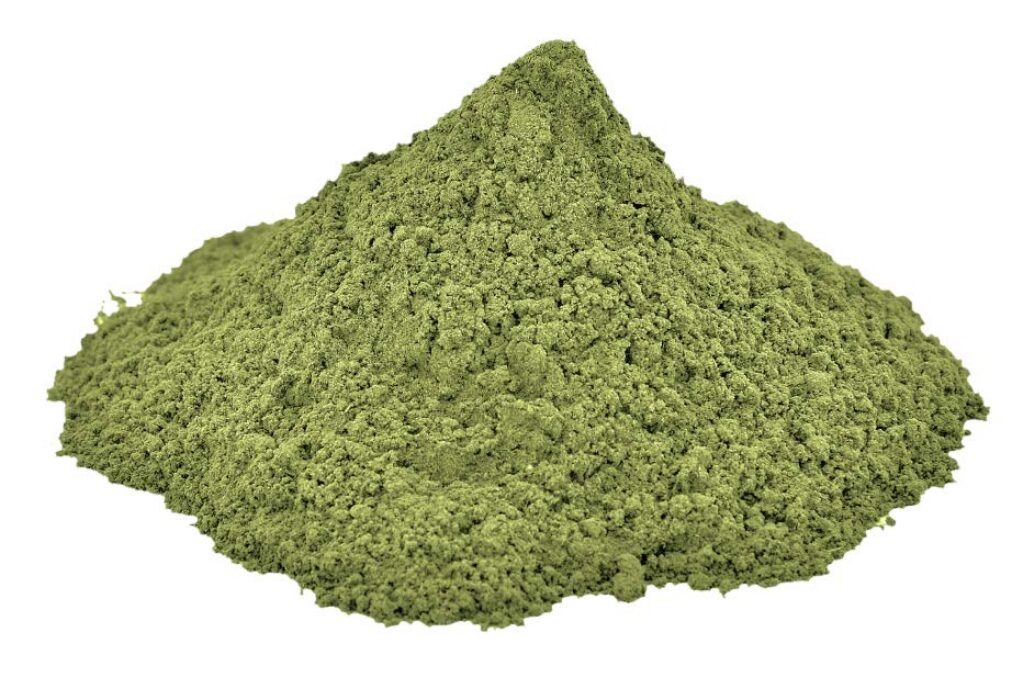 Organic Ocimum gratissimum (Van Tulsi) Leaves