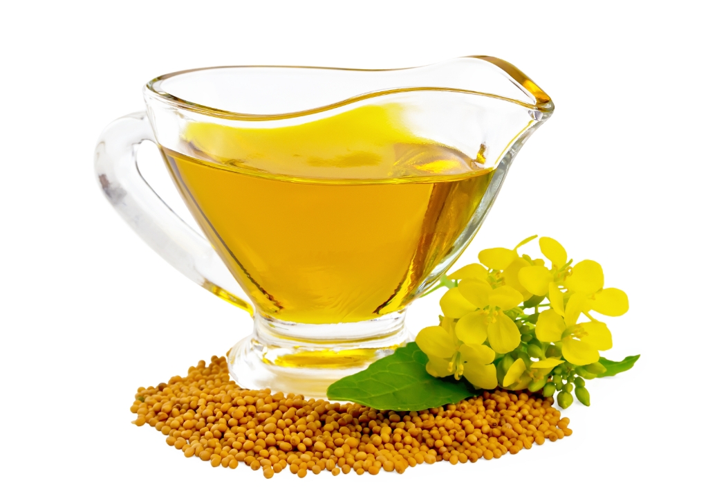 Organic Trachyspermum Ammi (Ajwain) Seeds Powder