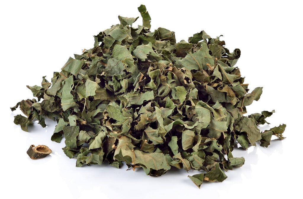 Organic Adhatoda vasica (Adusa) Leaves