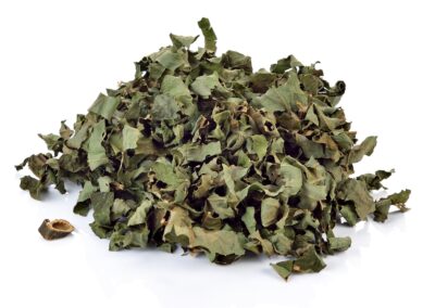 Organic Adhatoda vasica (Adusa) Leaves
