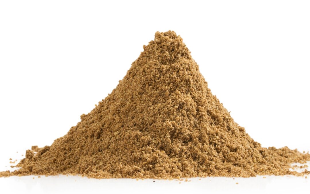Organic Trachyspermum ammi (Ajwain) Seeds