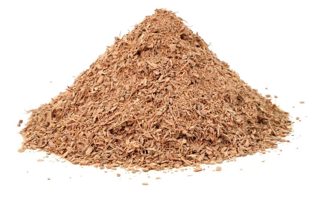 Organic Terminalia arjuna (Arjuna) Bark TBC