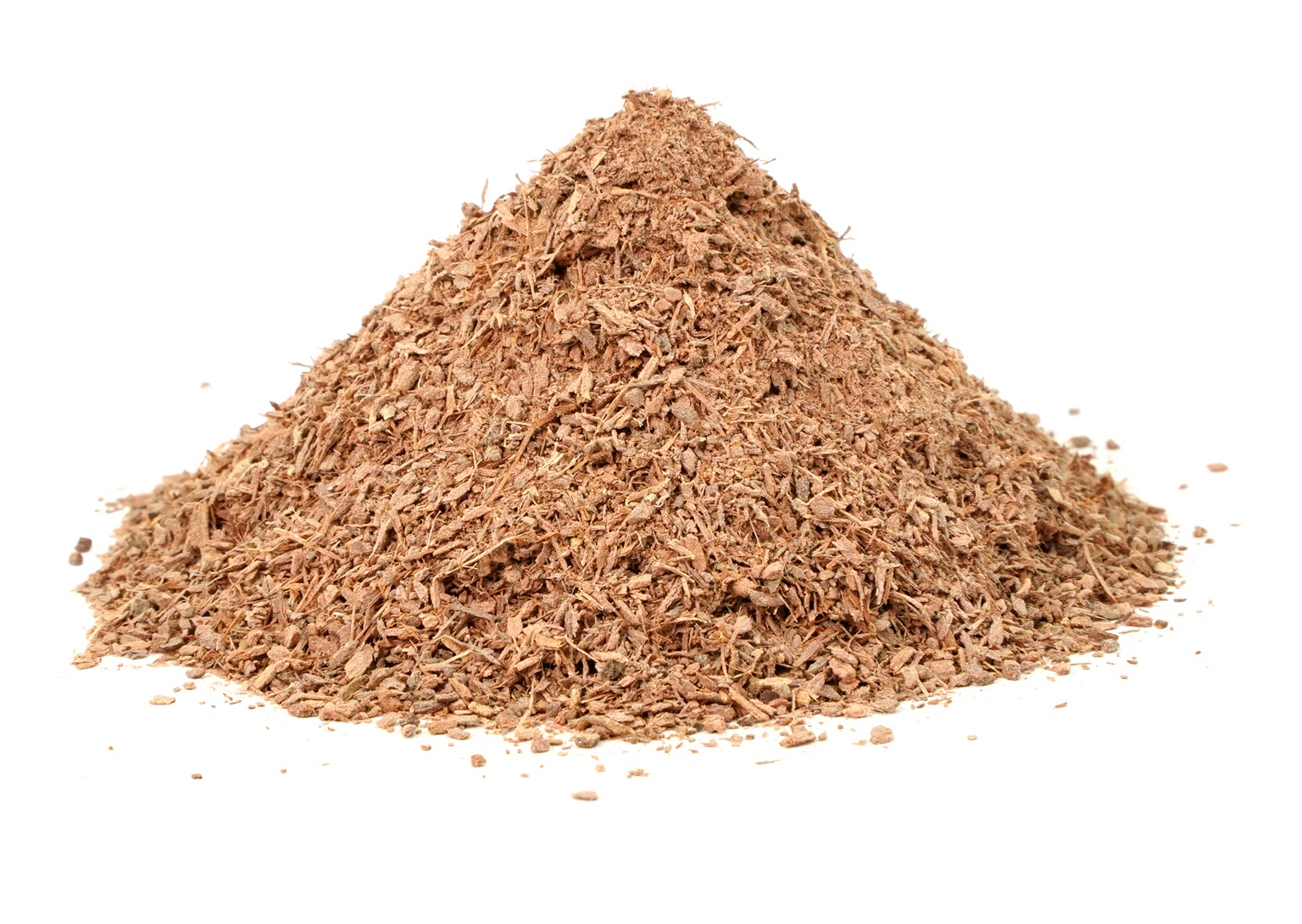 Organic Trachyspermum Ammi (Ajwain) Seeds Powder