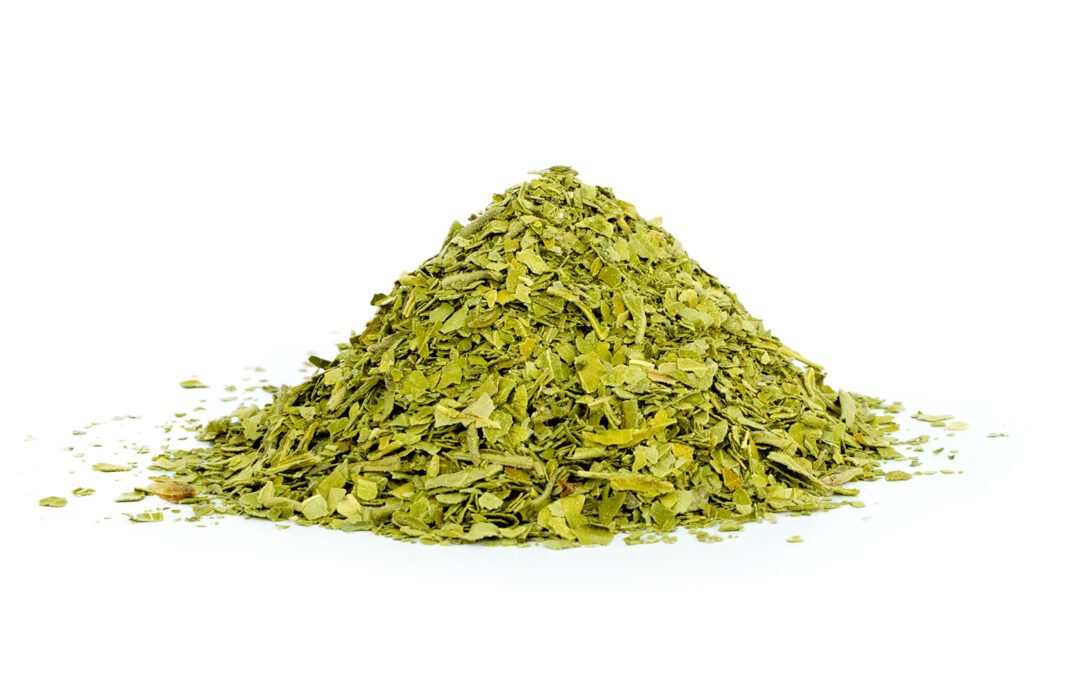 Organic Adhatoda vasica (Adusa) Leaves TBC