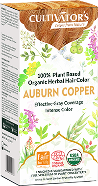 Organic Trachyspermum Ammi (Ajwain) Seeds Powder