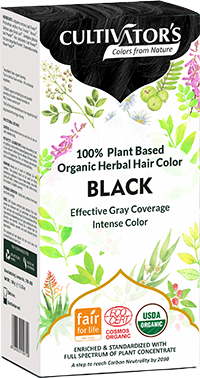 Organic Trachyspermum Ammi (Ajwain) Seeds Powder