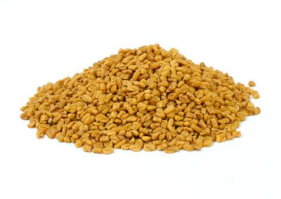 Organic Trigonella foenum-graecum (Fenugreek) Seeds