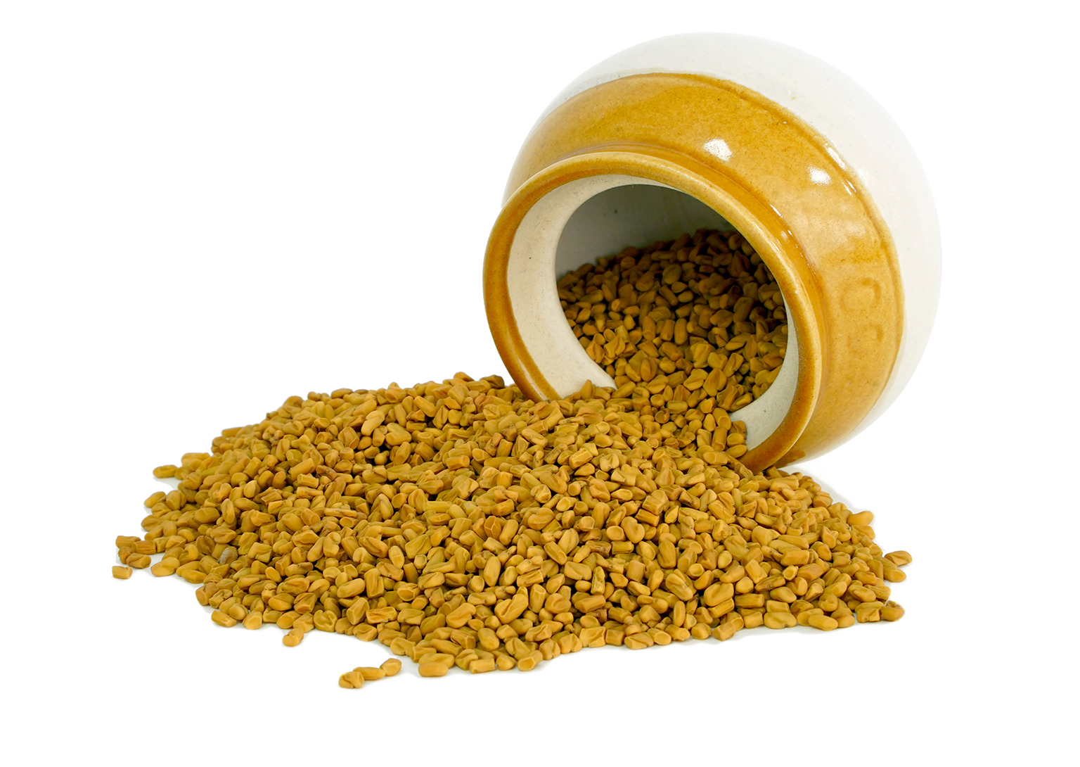 Trigonella foenum-graecum (Fenugreek) Seeds