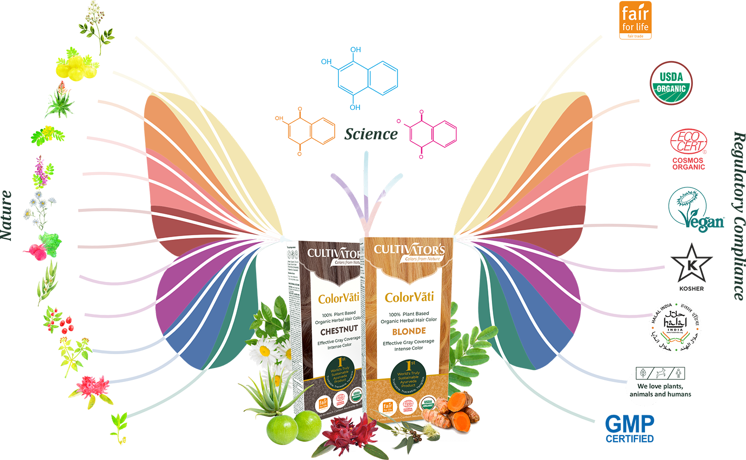 Hair Color Vati - Butterfly