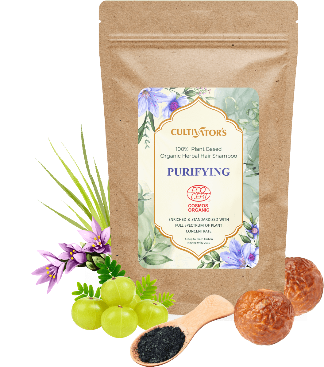 Purifying 02 2 1-min