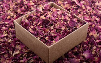 The benefits of buying organic herbs in bulk for Your Health and Business