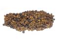 Piper nigrum (Black Pepper) Fruits (5)