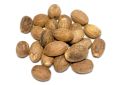 Myristica fragrans (Nutmeg) Seeds (6)