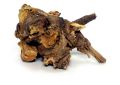 Plumbago zeylanica (Chitrak) Roots (2)
