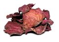 Beta vulgaris (Beet Root) Rhizome Slices (2)