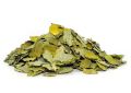 Moringa oleifera (Moringa) Leaves (5)
