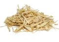 Salvadora persica (Miswak) Stem (2)