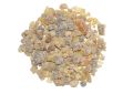 Boswellia serrata (Shallaki) Oleo-Resin Whole (5)