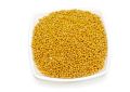 Brassica alba (Yellow Mustard) Seeds (2)