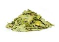 Cassia auriculata (Cassia) Leaves (2)