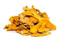 Curcuma longa (Turmeric) Rhizome Slices (2)