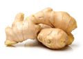 Organic Zingiber Officinale (Ginger) Rhizome 3