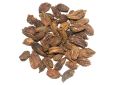 Amomum subulatum (Black Cardamom) Fruits (1)