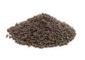 Brassica juncea (Brown Mustard) Seeds