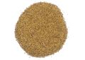 Trachyspermum ammi (Ajwain) Seeds (6)