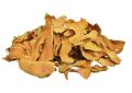 Turmeric Roots Curcuma longa