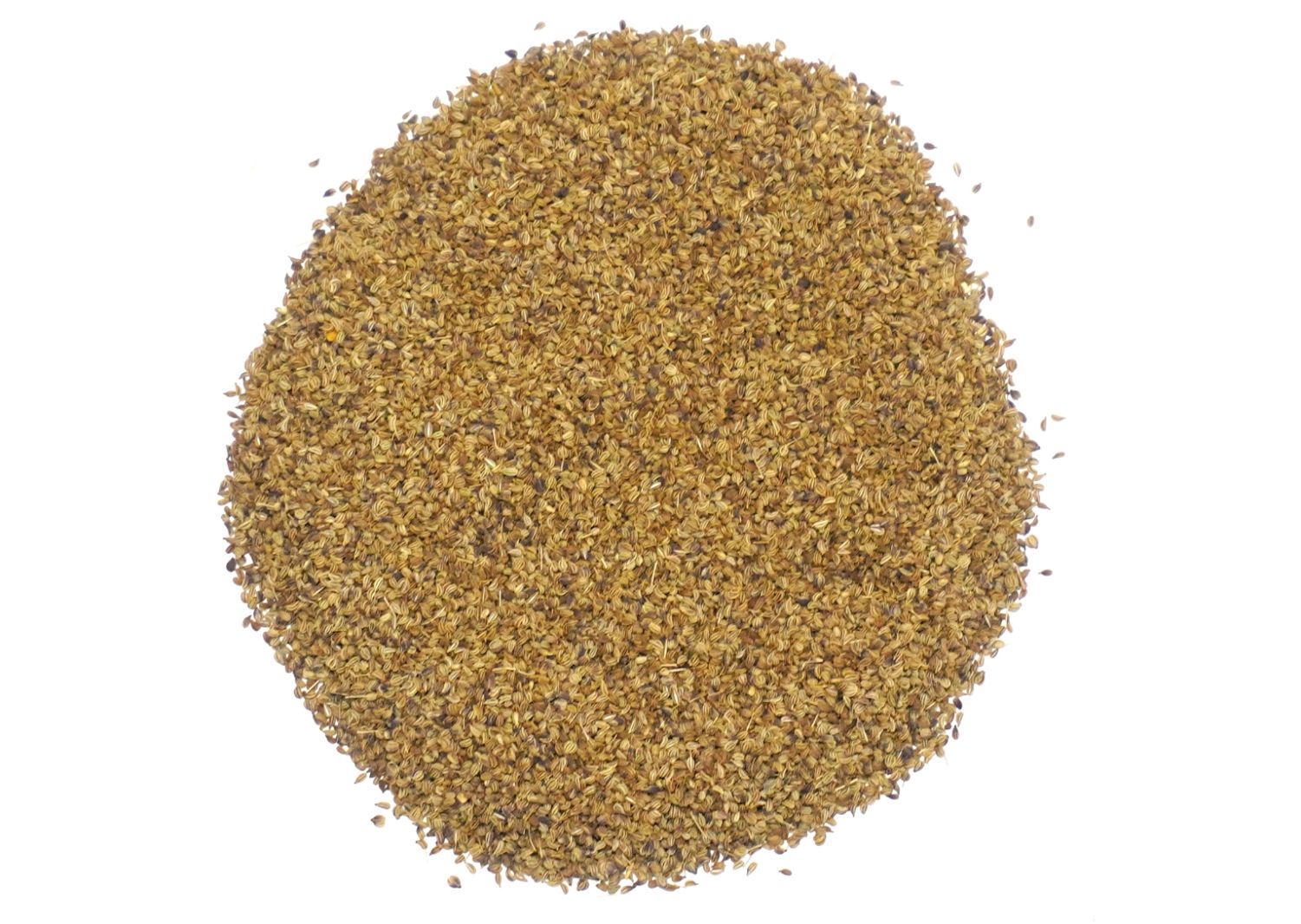 Trachyspermum Ammi (Ajwain) Seeds