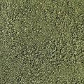 Andrographis paniculata (Kalmegh) FI Leave Granules