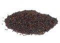 Brassica nigra (Mustard) Seeds (7)