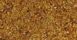 Aegle marmelos (Bhel) FI Fruits T-Cut