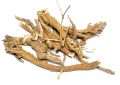 Boerhaavia diffusa (Punarnava) Roots Whole (2)