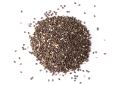 Salvia hispanica (Chia) Seeds (12)