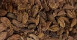 Amomum subulatum (Black Cardamom) FI Fruits Whole