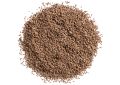 Apium Graveolens (Celery) Seed (2)