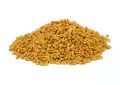 Trigonella Foenum-Graecum (Fenugreek) Seeds