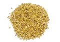 Coriandrum sativum (Coriander) Seeds (7)