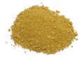 Zingiber officinale (Ginger) Rhizome (8)