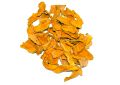 Curcuma longa (Turmeric) Rhizome Slices (5)