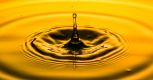 Moringa Oleifera Moringa Seeds Oil FI