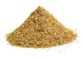 Coriandrum sativum (Coriander) TBC