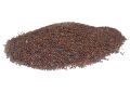 Brassica juncea (Brown Mustard) Seeds (4)