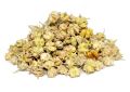 Tribulus terrestris (Gokharu) Fruits (2)