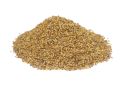 Trachyspermum ammi (Ajwain) Seeds (5)